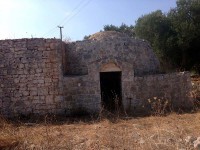 Dettagli